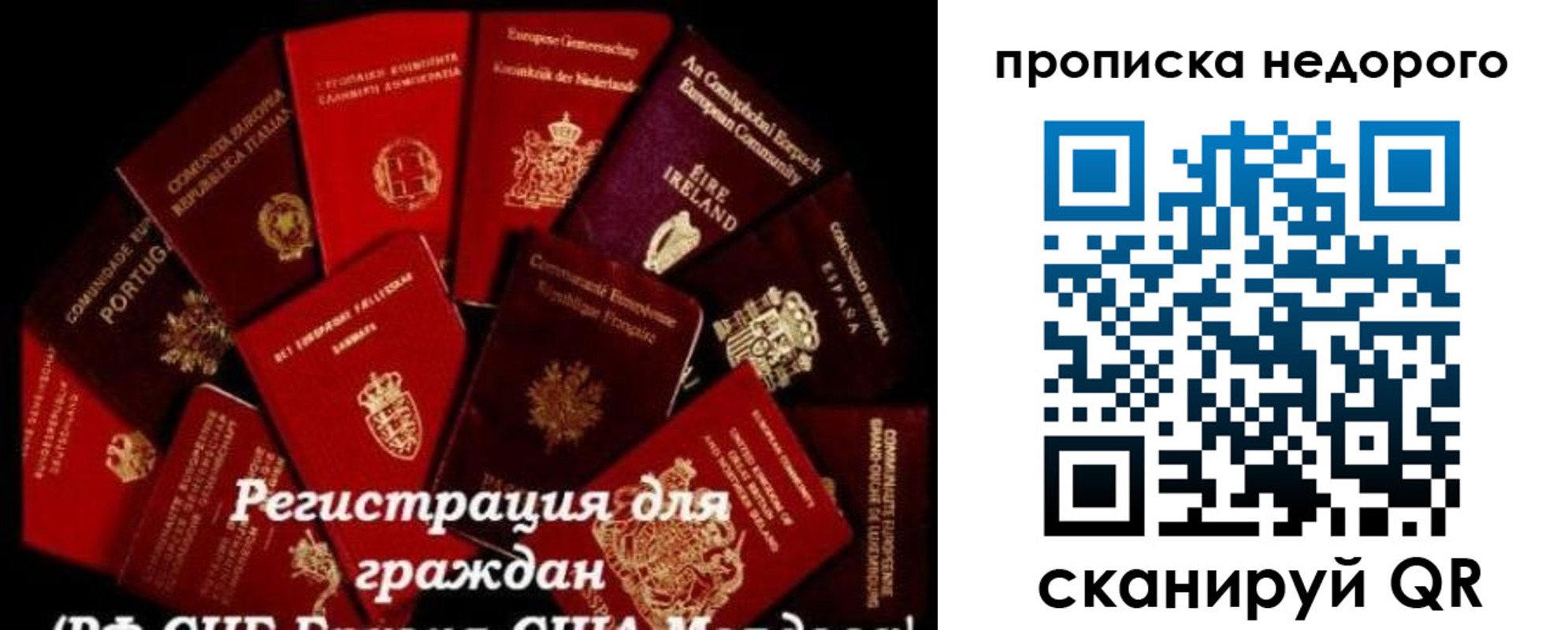 временная регистрация недорого в Назрани